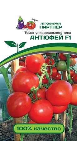 Томат Антюфей F1 0,1 г, 2-ной пак.