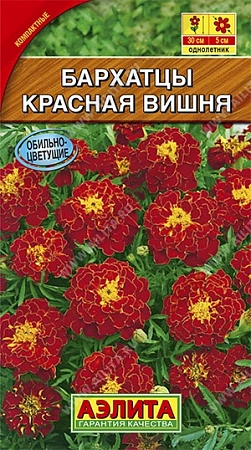 Бархатцы Красная вишня отклоненные, 0,3 г (АЭЛИТА) Бархатцы Красная вишня отклоненные, 0,3 г (АЭЛИТА)