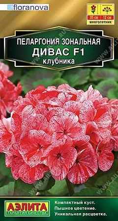 Пеларгония Дивас F1 клубника, 3 шт (Аэлита)