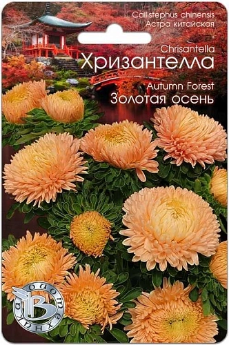 Астра Хризантелла Золота осень, 30 шт (Биотехника) Астра Хризантелла Золота осень, 30 шт (Биотехника)