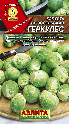 Капуста брюссельская Геркулес 0,3 г Капуста брюссельская Геркулес 0,3 г