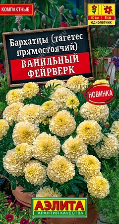 Бархатцы Ванильный фейеверк (АЭЛИТА)