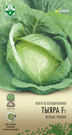 Капуста белокочанная Тиара F1, 12 шт (Эксперт) (МССО) Капуста белокочанная Тиара F1, 12 шт (Эксперт) (МССО)