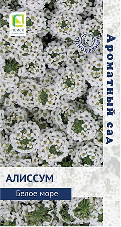 Алиссум Белое море, 0,3 г (Поиск)