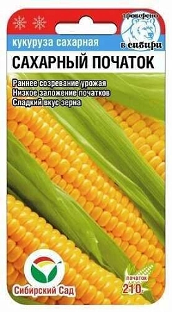Кукуруза Сахарный початок, 6 шт (Сиб Сад)
