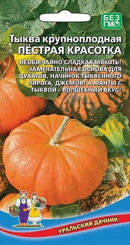Тыква Пестрая красотка крупноплодная (УД) Тыква Пестрая красотка крупноплодная (УД)