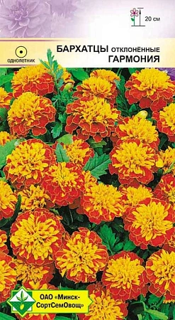 Бархатцы Гармония 0,3 г отклоненные (МССО) Бархатцы Гармония 0,3 г отклоненные (МССО)