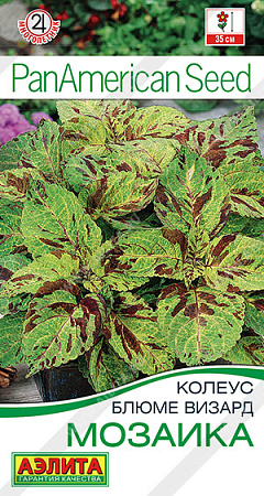 Колеус блюме Мозаика, 5 шт (Аэлита) Колеус блюме Мозаика, 5 шт (Аэлита)