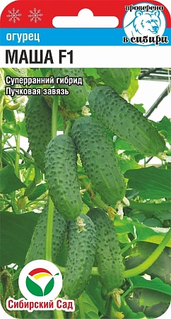 Огурец Маша F1, 5 шт (Сиб Сад) Огурец Маша F1, 5 шт (Сиб Сад)