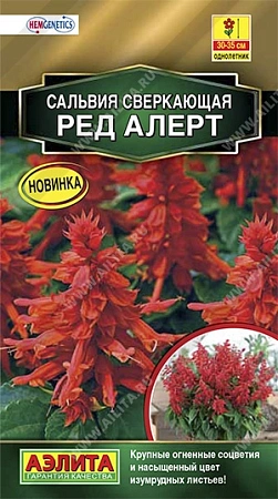 Сальвия сверкающая Ред Алерт, 7 шт