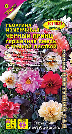 Георгина Черный принц, смесь 0,2 г (Аэлита)