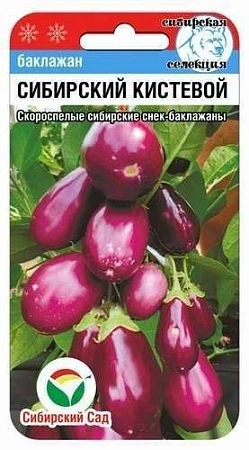 Баклажан Сибирский кистевой, 20 шт (Сиб Сад)