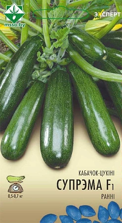 Кабачок Супремо F1, 6 шт (Эксперт) (МССО) Кабачок Супремо F1, 6 шт (Эксперт) (МССО)