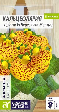 Кальцеолярия Дэинти Черевички желтые, 5 шт