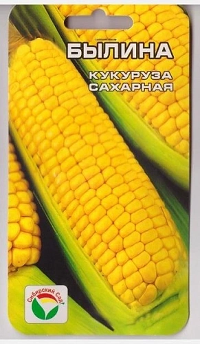 Кукуруза Былина, 6 шт (Сиб Сад) Кукуруза Былина, 6 шт (Сиб Сад)
