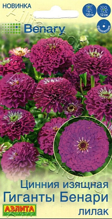 Цинния Гиганты Бенари лилак 7 шт (АЭЛИТА)