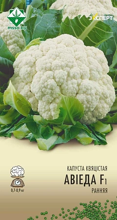 Капуста цветная Овиедо F1, 12 шт (МССО) Капуста цветная Овиедо F1, 12 шт (МССО)