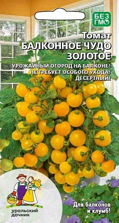 Томат Балконное чудо золотое (УД)