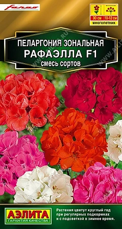 Пеларгония Рафаэлла F1, смесь 5 шт Пеларгония Рафаэлла F1, смесь 5 шт