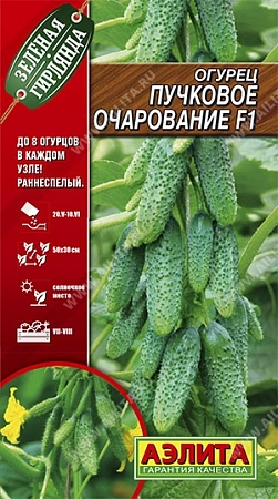 Огурец Пучковое очарование F1, 10 шт (Аэлита) Огурец Пучковое очарование F1, 10 шт (Аэлита)