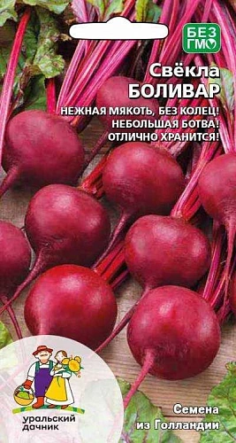 Свекла Боливар (УД) Свекла Боливар (УД)