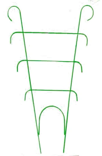 Шпалера №7 Шпалера №7