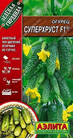 Огурец Суперхруст F1, 10 шт (АЭЛИТА) Огурец Суперхруст F1, 10 шт (АЭЛИТА)