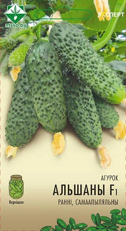 Огурец Альшаны F1, 10 шт (Эксперт) (МССО) Огурец Альшаны F1, 10 шт (Эксперт) (МССО)