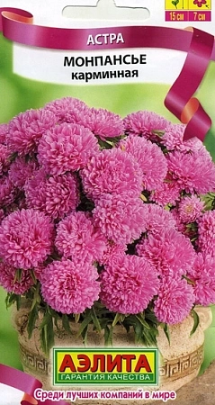 Астра Монпансье карминная 0,2 г (АЭЛИТА) Астра Монпансье карминная 0,2 г (АЭЛИТА)