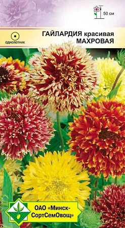 Гайлардия красивая Махровая, 0,2 г (МССО) Гайлардия красивая Махровая, 0,2 г (МССО)