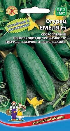Огурец Емеля F1 (УД) Огурец Емеля F1 (УД)