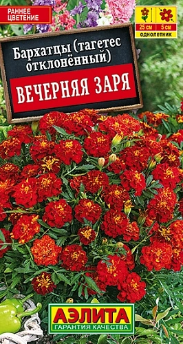 Бархатцы Вечерняя заря отклоненные, 0,3 г Бархатцы Вечерняя заря отклоненные, 0,3 г