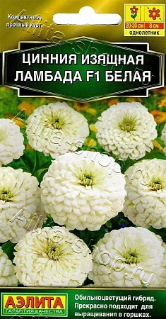 Цинния Ламбада F1 белая 12 шт (АЭЛИТА)