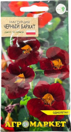 Настурция Черный бархат, 8 шт (Агромаркет)