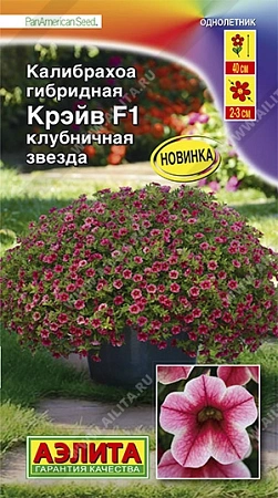 Калибрахоа Крэйв F1 клубничная звезда 3 шт Калибрахоа Крэйв F1 клубничная звезда 3 шт