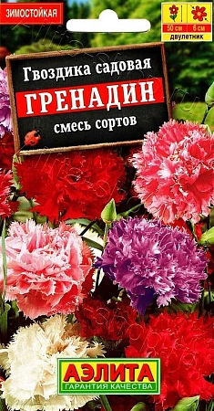 Гвоздика садовая Гренадин, смесь окрасок 0,1 г (АЭЛИТА)