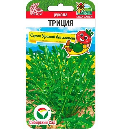 Рукола Триция 100шт (Сиб Сад)