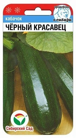 Кабачок Черный Красавец, 5 шт