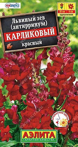 Львиный зев Карликовый красный, 10 шт Львиный зев Карликовый красный, 10 шт
