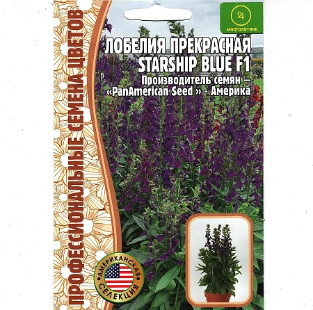 Лобелия Starship Blue прекрасная (Ред сем) Лобелия Starship Blue прекрасная (Ред сем)