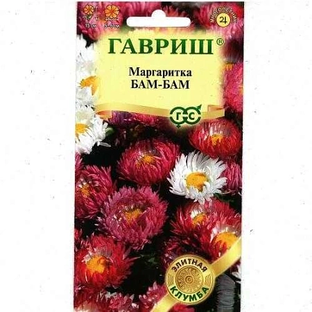 Маргаритка Бам-Бам многолетник, смесь 7 шт (Гавриш)