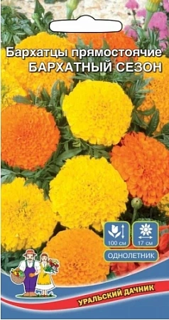 Бархатцы Бархатный сезон прямостоячие (УД) Бархатцы Бархатный сезон прямостоячие (УД)