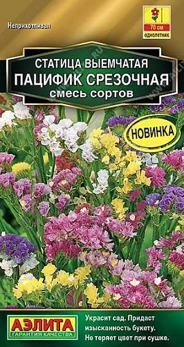 Статица Пацифик срезочная, смесь сортов, 0,1 г (Аэлита) Статица Пацифик срезочная, смесь сортов, 0,1 г (Аэлита)