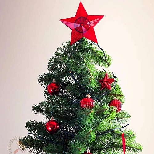 Ель Неоклассик 0.55 - 2,2 м Ель Неоклассик 0.55 - 2,2 м