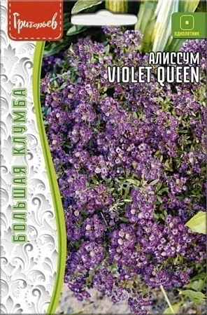 Алиссум Violet Queen Большая клумба однолетник, 0,1 г (Ред.Сем)