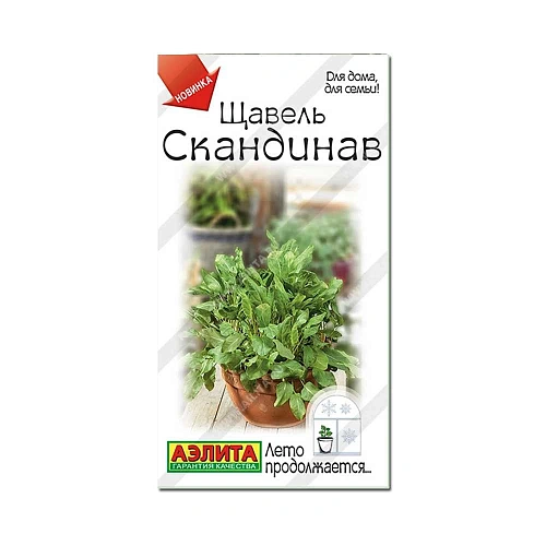 Щавель Скандинав, 0,5 г (Аэлита) Щавель Скандинав, 0,5 г (Аэлита)
