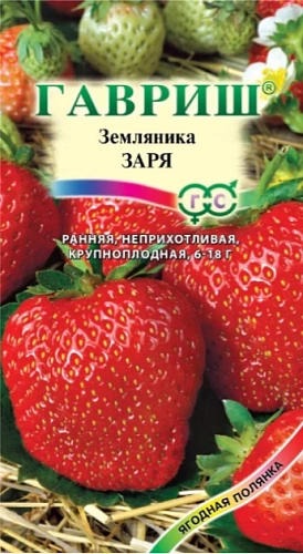 Земляника Заря 0,01 г (ГАВРИШ) Земляника Заря 0,01 г (ГАВРИШ)