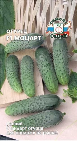 Огурец Моцарт F1, 8 шт (СеДек) Огурец Моцарт F1, 8 шт (СеДек)
