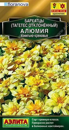 Бархатцы Алюмия ванильно-кремовые, 10 шт (АЭЛИТА)