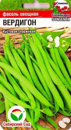 Фасоль овощная Вердигон, 5 г (Сиб Сад) Фасоль овощная Вердигон, 5 г (Сиб Сад)